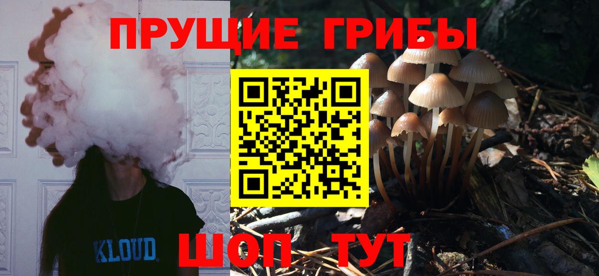 Псилоцибиновые грибы прущие грибы  Вход с VPN  купить наркотики сайты  Нягань 